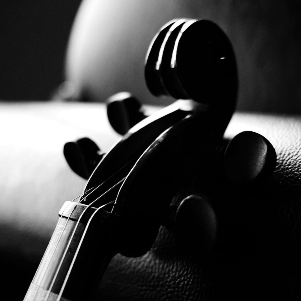 6938055-photo-violin