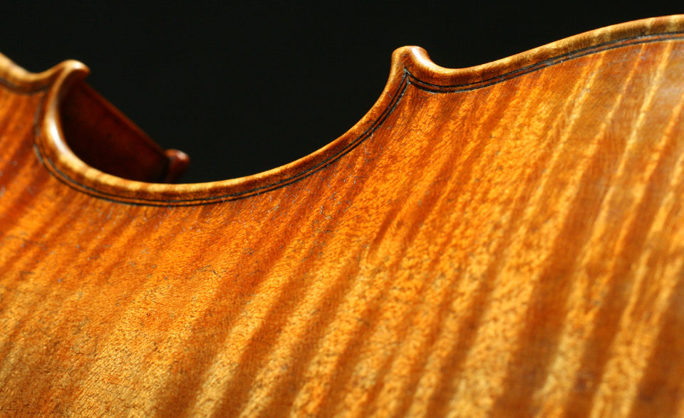 back-detail